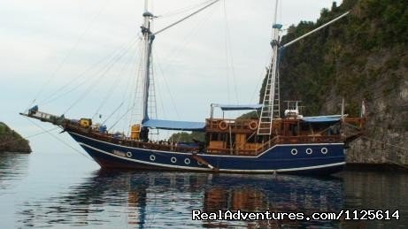 Felicia Liveaboard  | Enjoy watching bird and Komodo Dragona nd Diving | Bali, Indonesia | Eco Tours | Image #1/21 | 