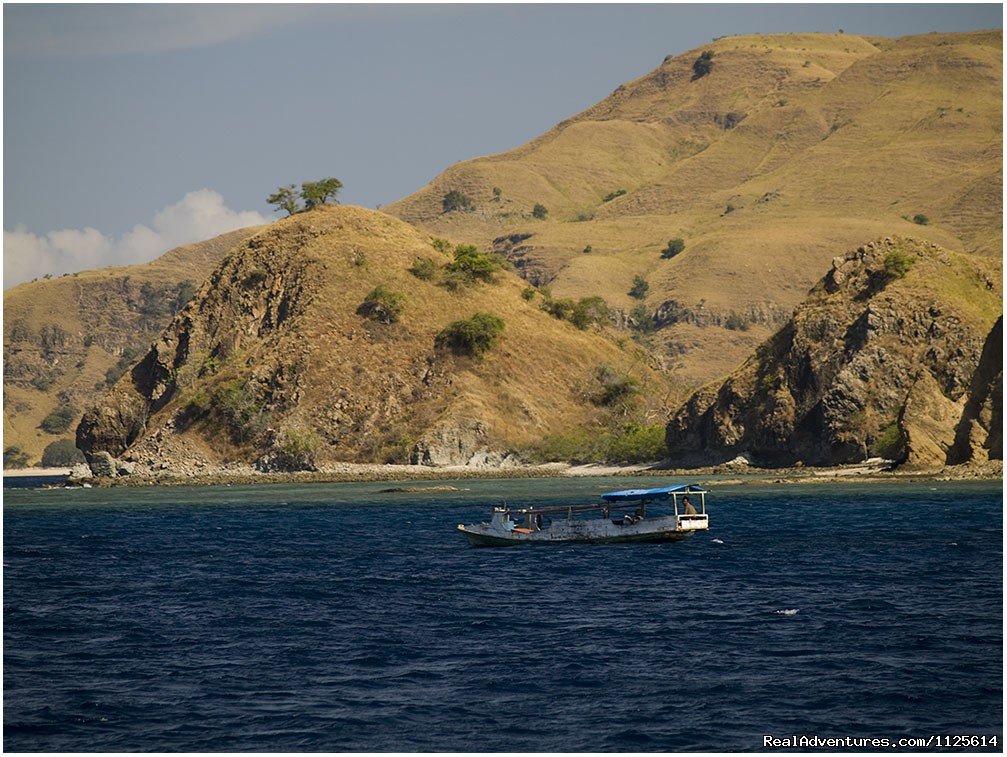 Enjoy watching bird and Komodo Dragona nd Diving | Image #6/21 | 