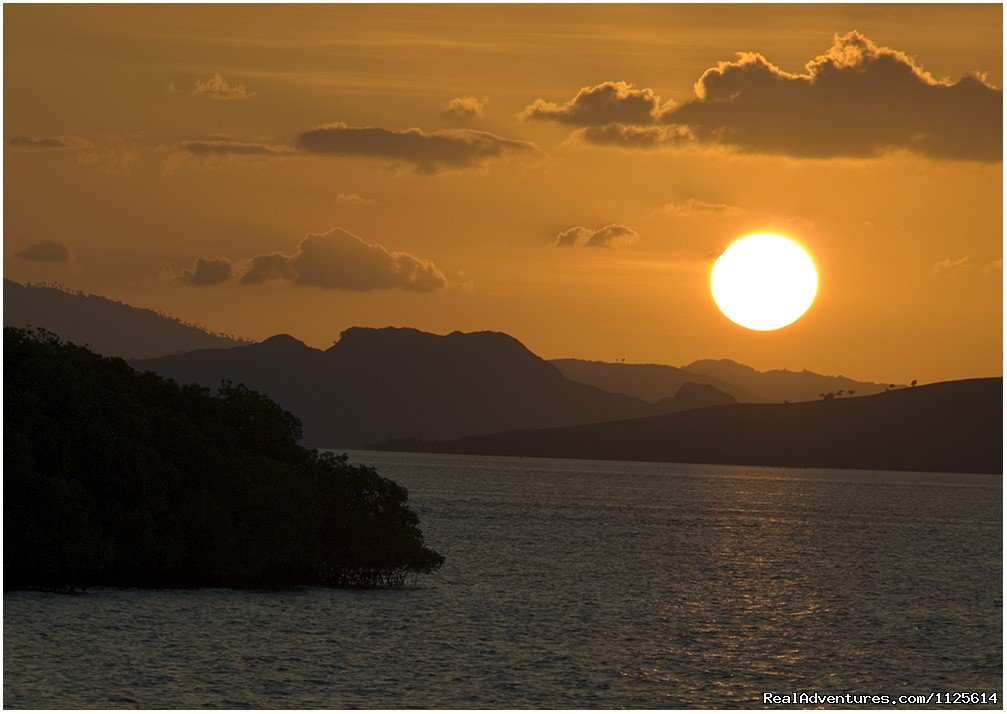 Enjoy watching bird and Komodo Dragona nd Diving | Image #16/21 | 