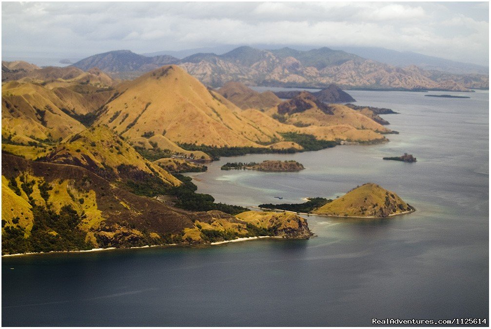 Enjoy watching bird and Komodo Dragona nd Diving | Image #18/21 | 