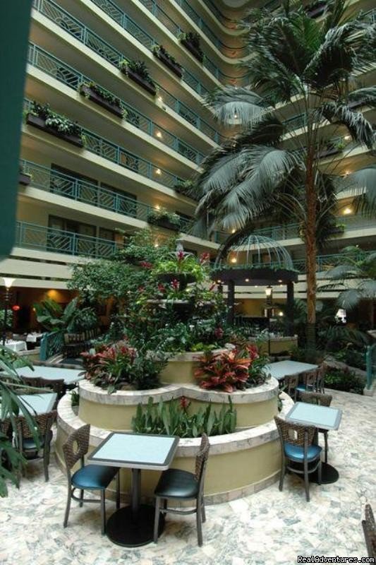 Atrium | Embassy Suites Hotel Minneapolis-Airport | Image #4/8 | 