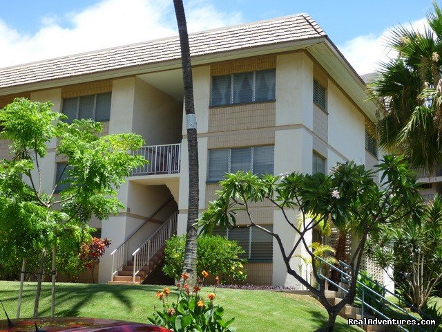 We're in the trees--top floor, end unit w/windows to the sea | OCEAN VIEW FROM ALL ROOMS-Top Floor, End Unit | Image #14/18 | 