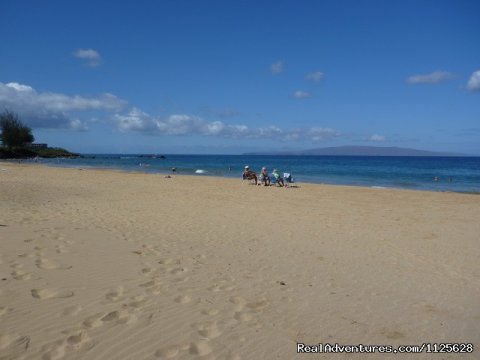 How's this for a beach? It's where you'll hang out.