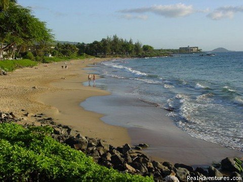 Kamaole Beach directly across the road. | OCEAN VIEW FROM ALL ROOMS-Top Floor, End Unit | Image #12/18 | 