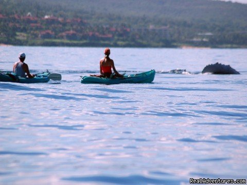 That's us kayaking with whales across the street. | OCEAN VIEW FROM ALL ROOMS-Top Floor, End Unit | Image #16/18 | 