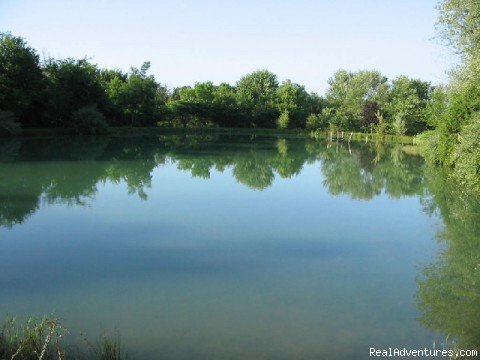 Gental Serenity | Jonesburg Gardens Campground | Jonesburg, Missouri  | Campgrounds & RV Parks | Image #1/26 | 