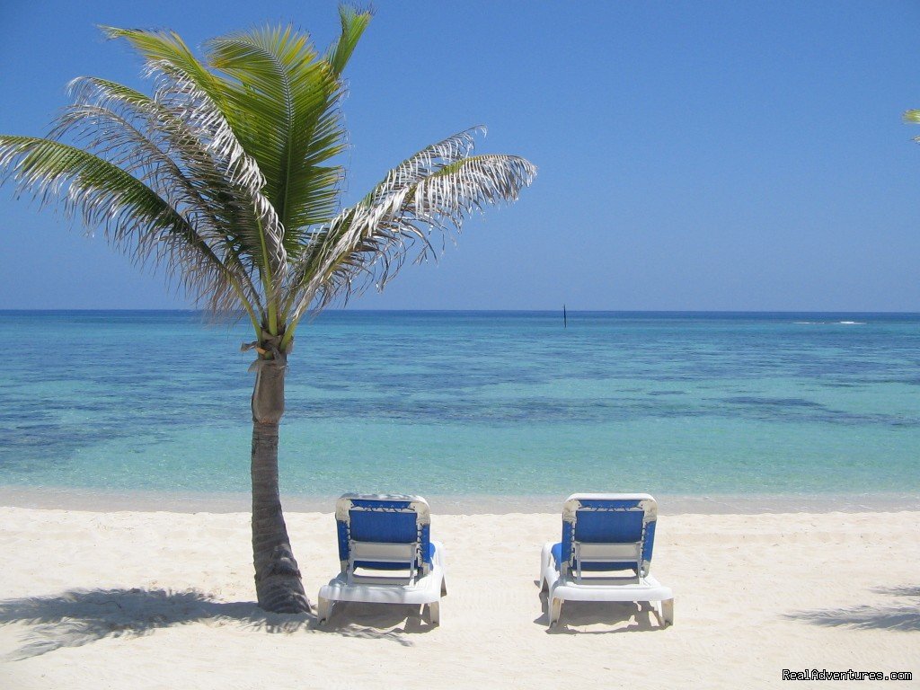 The Reef Beach | Wyndham Reef Resort - All Suites - All Beachfront | Image #7/21 | 