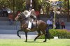 exclusive horseback riding tours in Peru | Urubamba, Peru