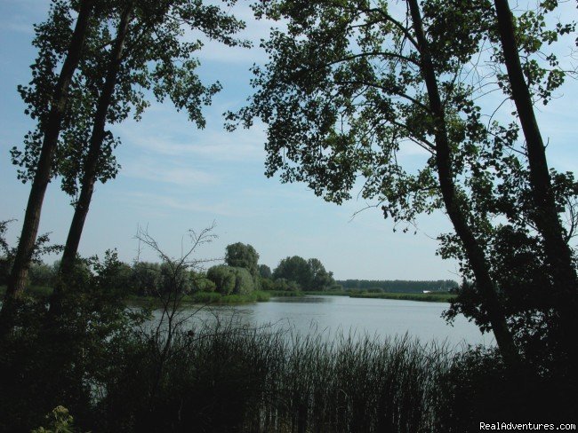 lake at 10 meters from cottage | Cottage in Nature reserve between Bruges & Ghent | Assenede, Belgium | Vacation Rentals | Image #1/22 | 