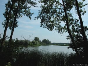 Cottage in Nature reserve between Bruges & Ghent