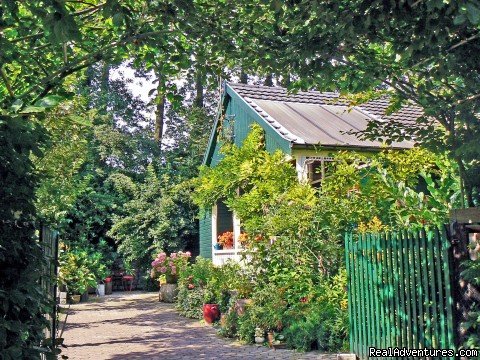 Cottage in summer | Cottage in Nature reserve between Bruges & Ghent | Image #3/22 | 