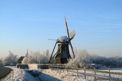 Zeeland in winter