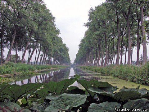 Damme canal to Sluis | Cottage in Nature reserve between Bruges & Ghent | Image #16/22 | 