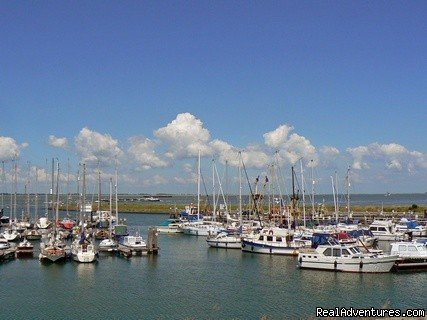 Terneuzen | Cottage in Nature reserve between Bruges & Ghent | Image #21/22 | 