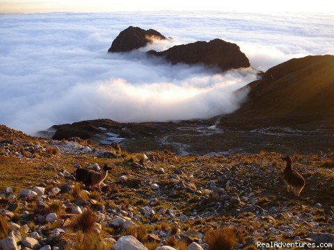 Hiking, Trekking and climbing in the Andes Bolivia | Image #7/12 | 