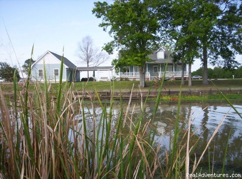 Back view of B&B | A Chateau on the Bayou Bed & Breakfast | Image #2/12 | 