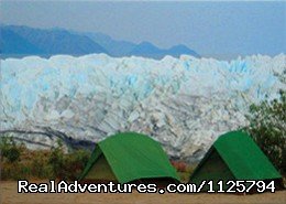 Alaska Adventure Tours | Denali National Park, Alaska | Sight-Seeing Tours