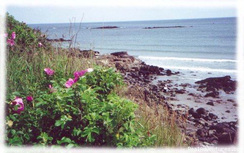 The Cliff Walk Just Around the Corner | Romantic York Maine Inn at Tanglewood Hall B&B | Image #4/5 | 