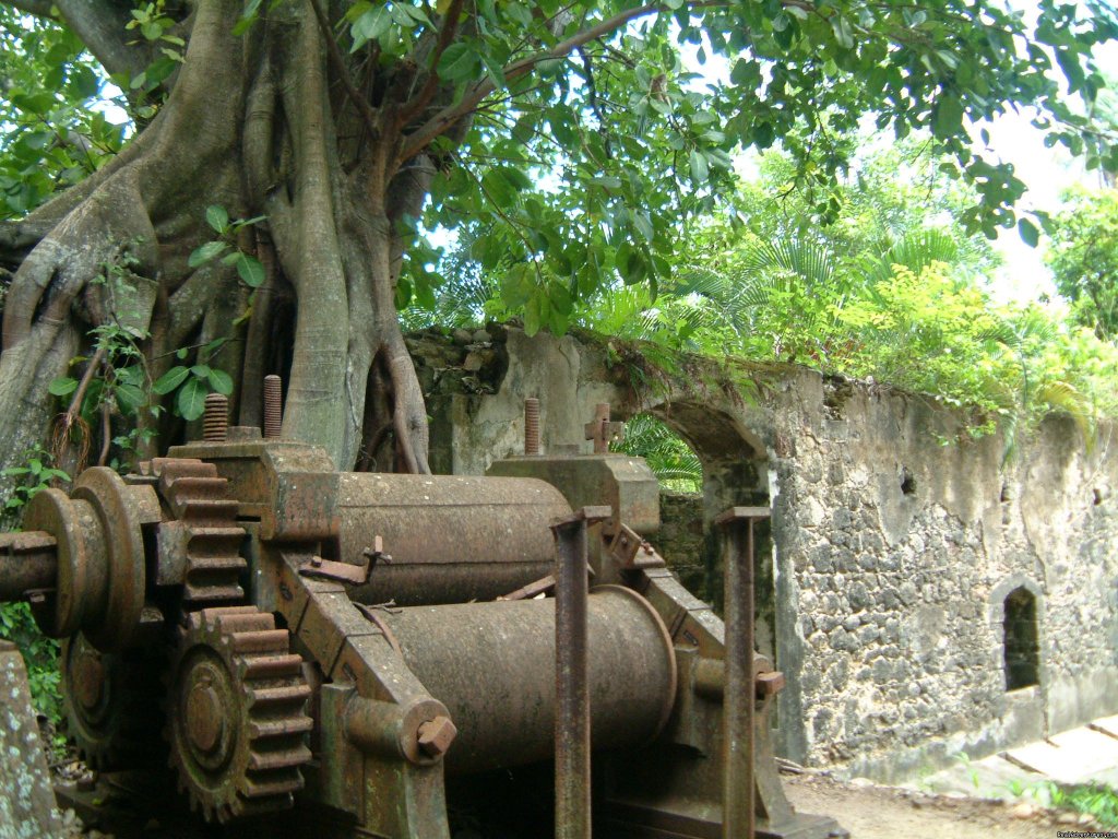 18th century Sugar mill | Caribbean Plantation Guesthouse | Image #4/12 | 