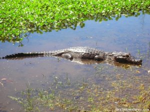 Nature, adventure, wildflife! | Santa Cruz, Bolivia | Eco Tours