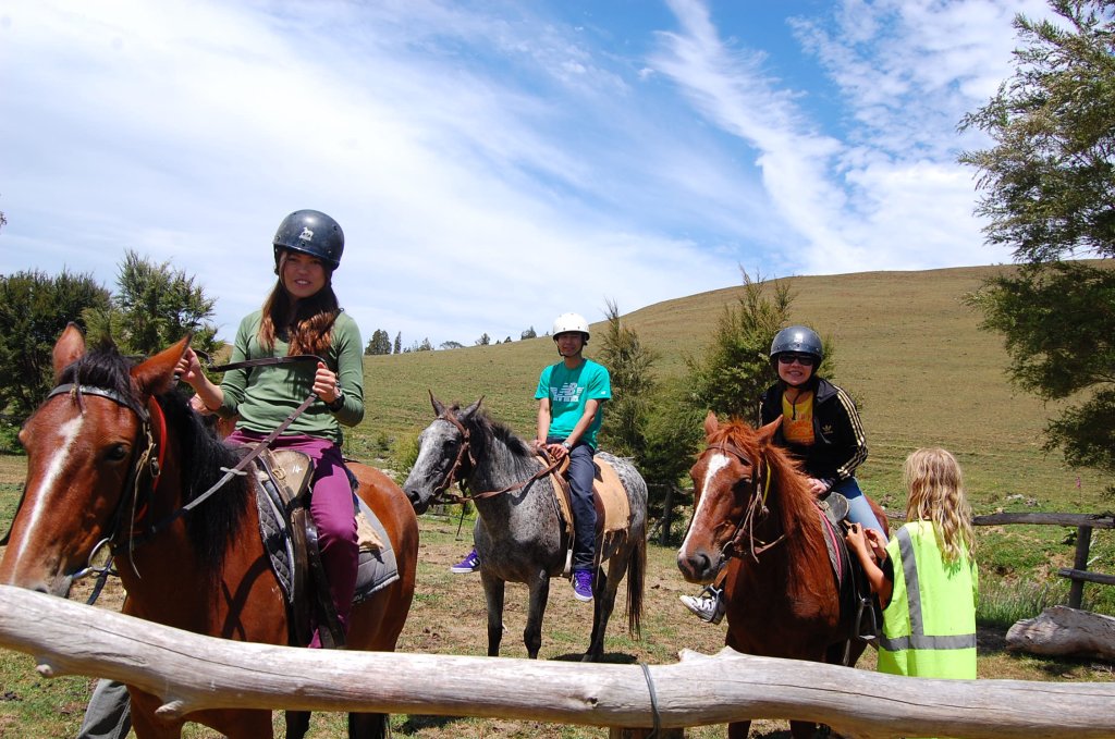 Horse Riding | Waikato Institute Of Education | Image #7/8 | 