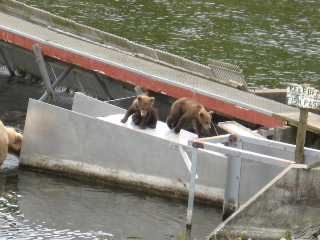 Alaska's Kodiak Island Resort | Image #5/12 | 