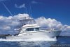 Sportsfishing Charter Boat New Zealand | Paihia, New Zealand