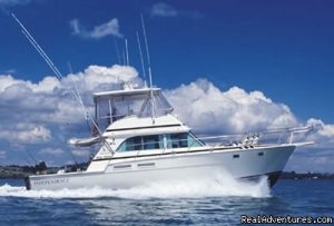 Sportsfishing Charter Boat New Zealand | Paihia, New Zealand | Fishing Trips