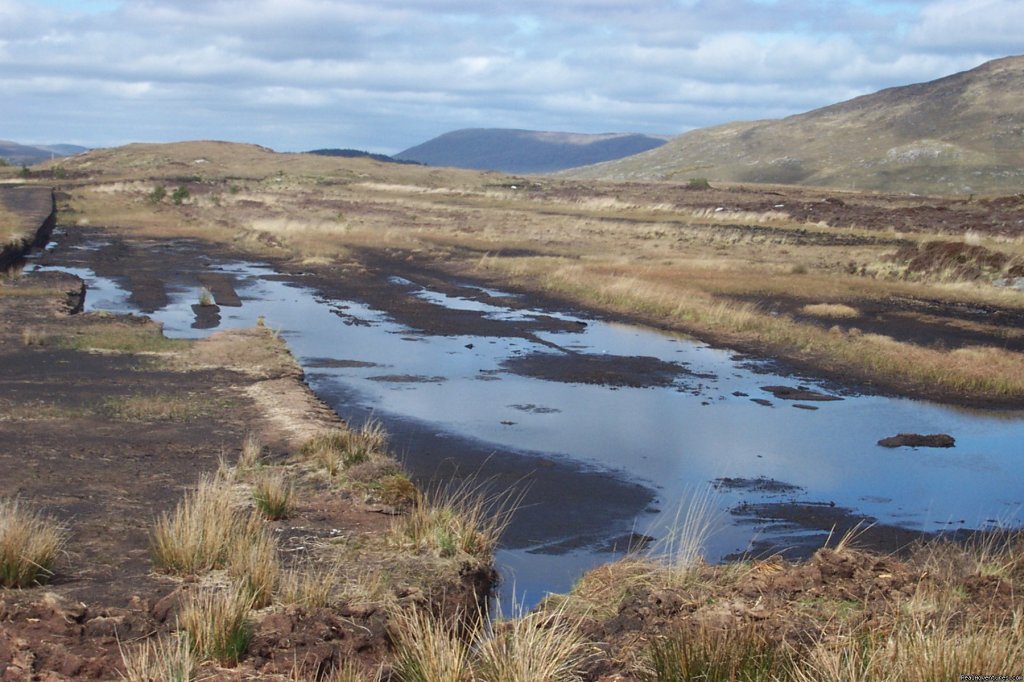 Connemara & Galway Bay Tours | Scenic Day Tours of Burren & Connemara | Image #4/5 | 