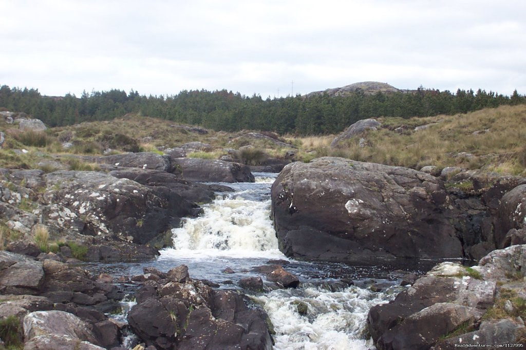 Scenic Day Tours of Burren & Connemara | Image #5/5 | 