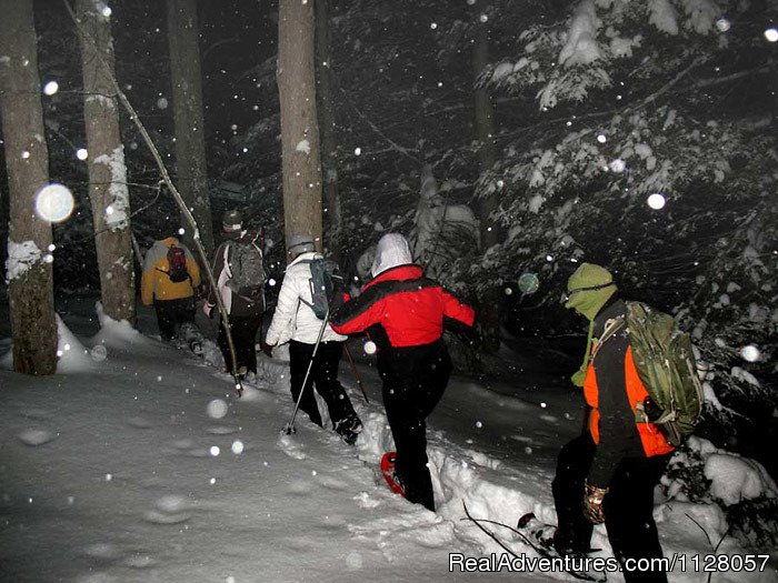 Headlamp Snowshoeing Tours | Maryland Family Kayaking Tours and Snowshoeing | Friendsville, Maryland  | Eco Tours | Image #1/12 | 