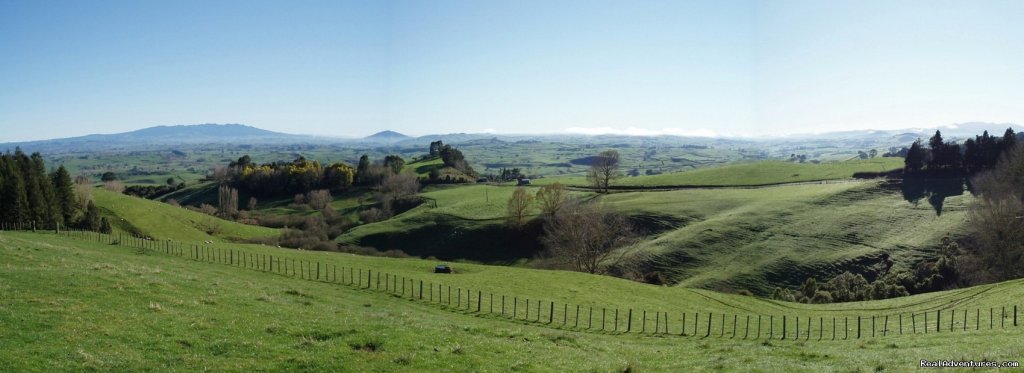 Farm panorama near Kamahi Cottage | Romantic NZ country cottage: 5-Star B&B  Waitomo | Image #8/15 | 