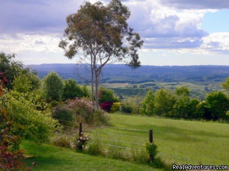 Panoramic views at Kamahi Cottage | Romantic NZ country cottage: 5-Star B&B  Waitomo | Image #15/15 | 