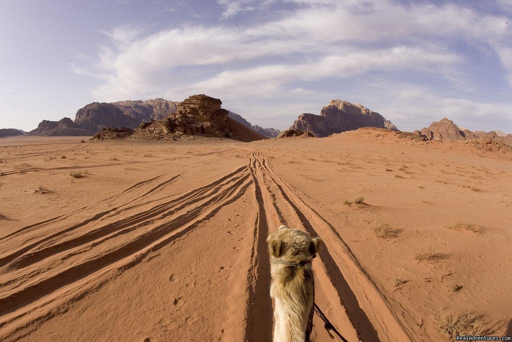 Wadi Rum | Create Your Own Private Tailor-made Tour Of Jordan | Amman, Jordan | Sight-Seeing Tours | Image #1/4 | 