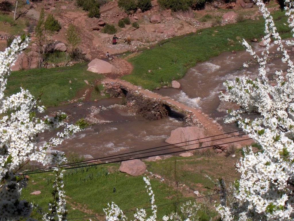 view Ourika river | Spectacular villa Ourika valley Marrakech | Image #3/3 | 