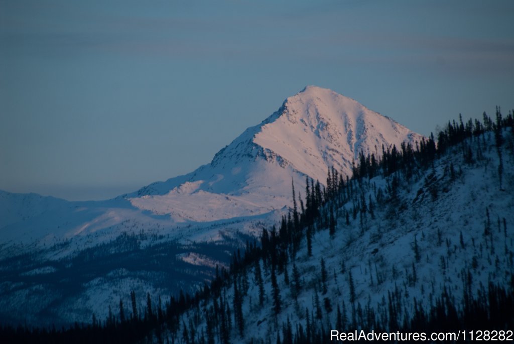 Alaska's Brooks Range | Alaska Brooks Range Dog Sledding Tours | Image #11/14 | 