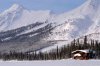 Alaska Brooks Range Dog Sledding Tours | Fairbanks, Alaska