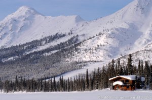 Alaska Brooks Range Dog Sledding Tours | Fairbanks, Alaska | Hotels & Resorts