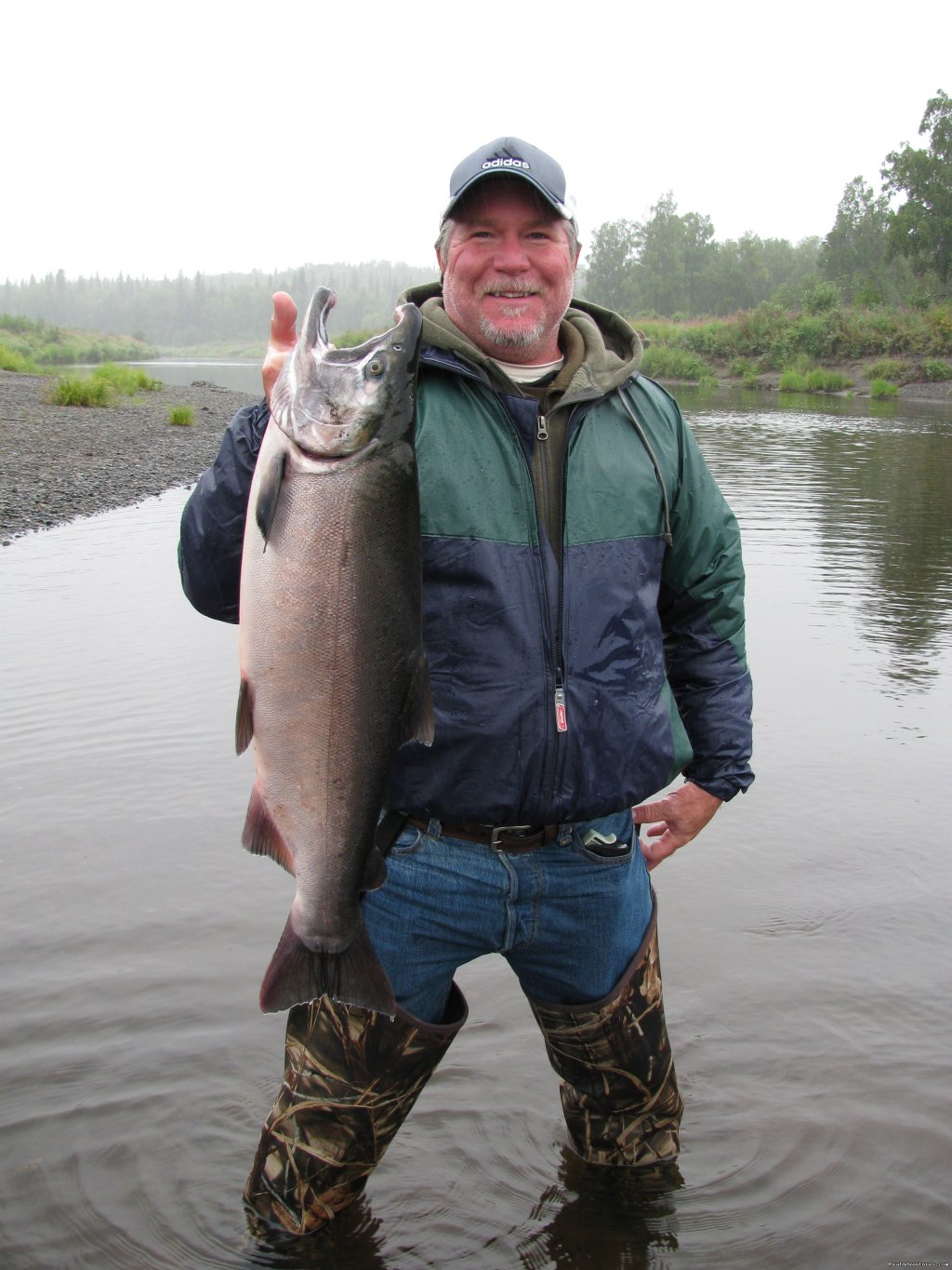 Huge Coho's | Deshka Wilderness Lodge | Image #4/12 | 