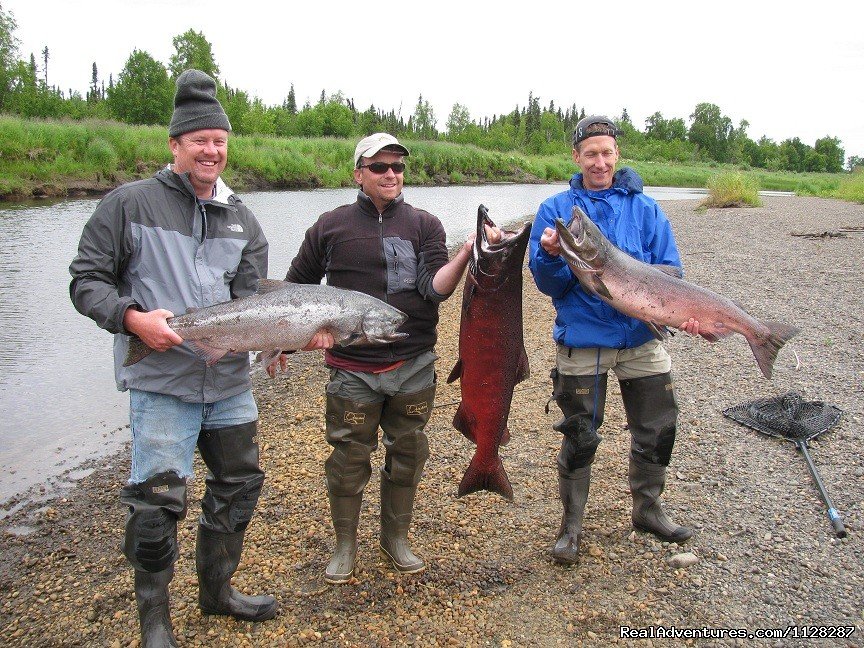 Three nice kings in ten minutes (last day of the season) | Deshka Wilderness Lodge | Image #7/12 | 