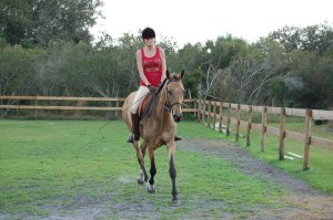 Horse back vacation near Myakka National Park | Myakka City, Florida | Vacation Rentals