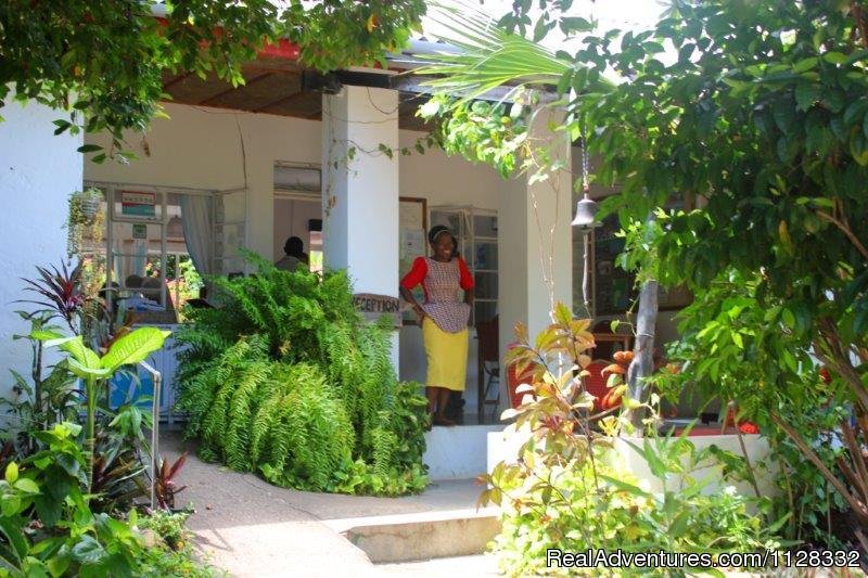 Mwamba reception area | Eco adventure at Watamu Kenya | Watamu, Kenya | Eco Tours | Image #1/10 | 