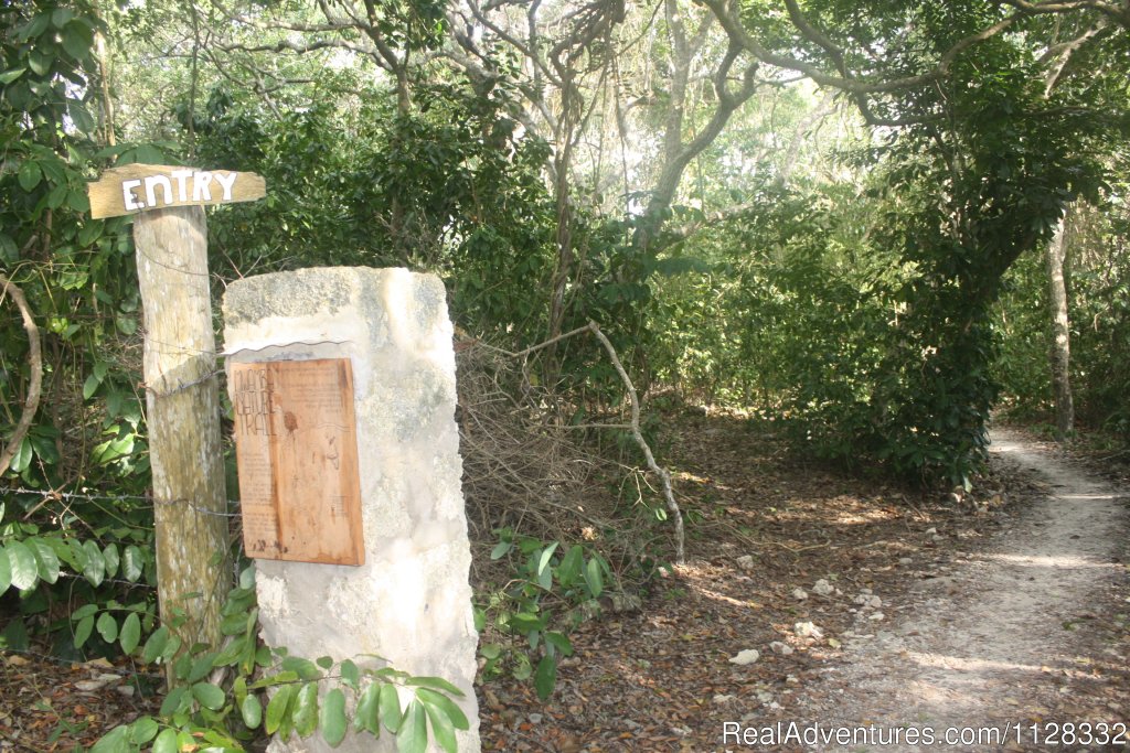 To the nature trail | Eco adventure at Watamu Kenya | Image #7/10 | 