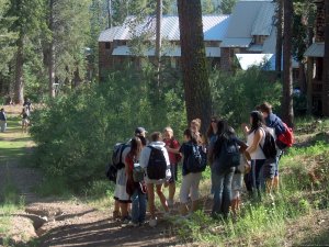 Clair Tappaan Lodge Among the Pines in the Sierras