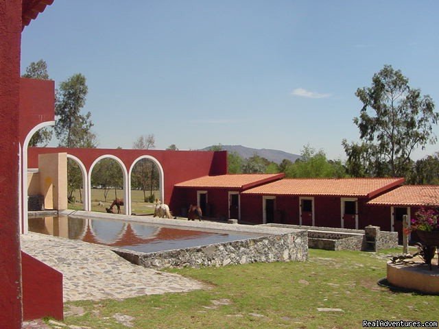 Photo #5 | Horse riding Holiday in Mexico | Image #5/7 | 