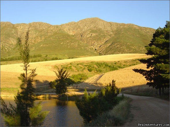 Tulbagh valley | Dreamcatcher cottage | Image #8/16 | 