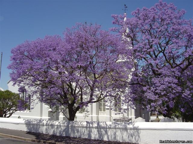 Tulbagh village | Dreamcatcher cottage | Image #11/16 | 