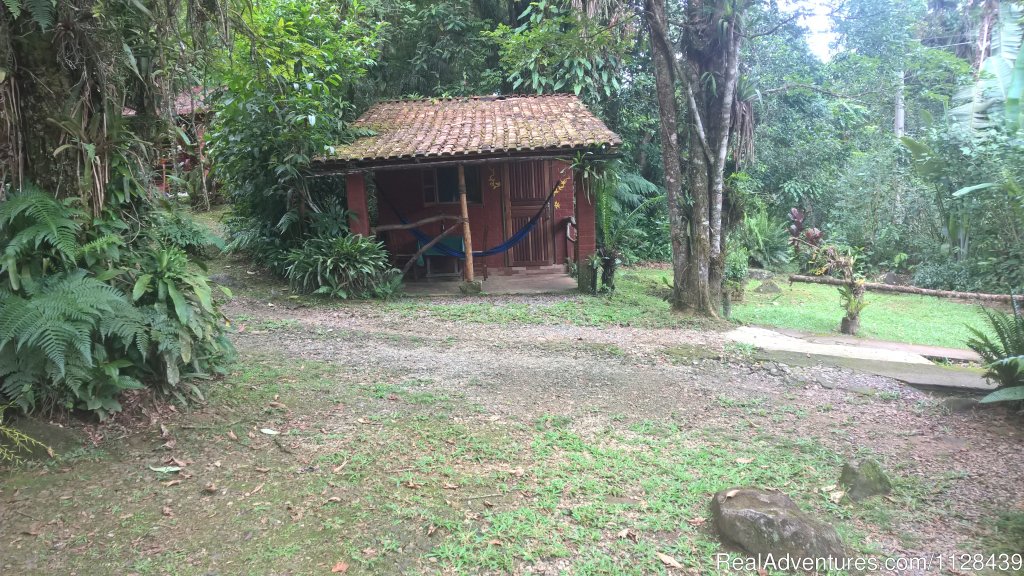 Cabin I | Enjoy life in the Atlantic Rain Forest | Image #3/9 | 