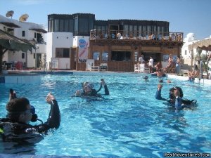 Diving In Dahab