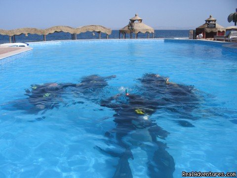 Diving In Dahab | Image #5/6 | 